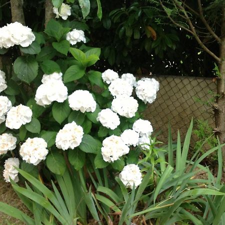קרקסון Bed & Breakfast Le Beausejour מראה חיצוני תמונה