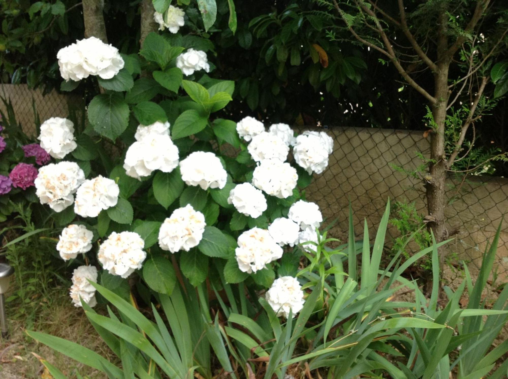 קרקסון Bed & Breakfast Le Beausejour מראה חיצוני תמונה